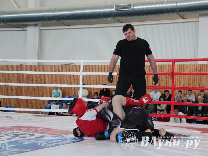В Великих Луках проходит открытый кубок по смешанному боевому единоборству ММА (ФОТО) (12+)