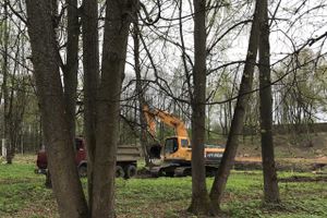 В будущем Петровском парке завершается очередной этап работ (ФОТО)