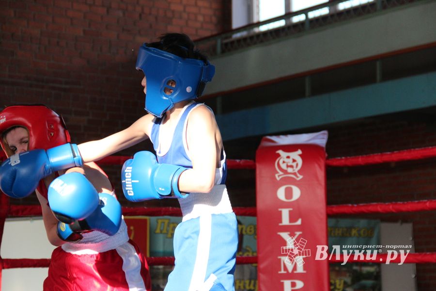 Второй день турнира по боксу складывается для великолучан удачно (ФОТО)