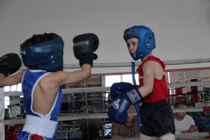 В Великих Луках прошло Первенство города по боксу (ФОТО)