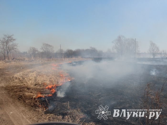Великолукский район полыхает (ФОТО; ВИДЕО)