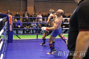 В Великих Луках прошел межрегиональный Открытый Кубок по смешанному боевому единоборству (фото)