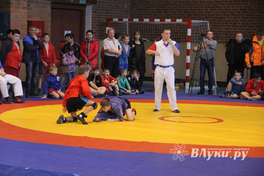 В Великих Луках прошел турнир по самбо "Память" (фото)