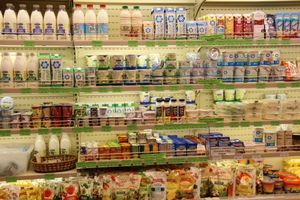 Такой рыбы нигде больше нет (ФОТО)