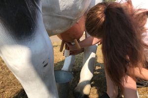 Миссия выполнима