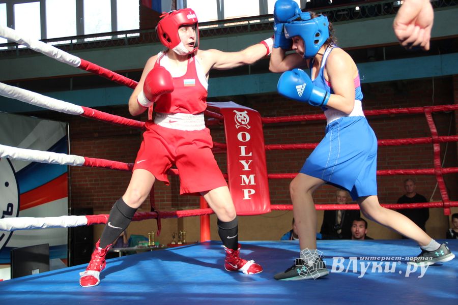 В Великих Луках прошел турнир по боксу памяти Е. Клевцова (ФОТО)