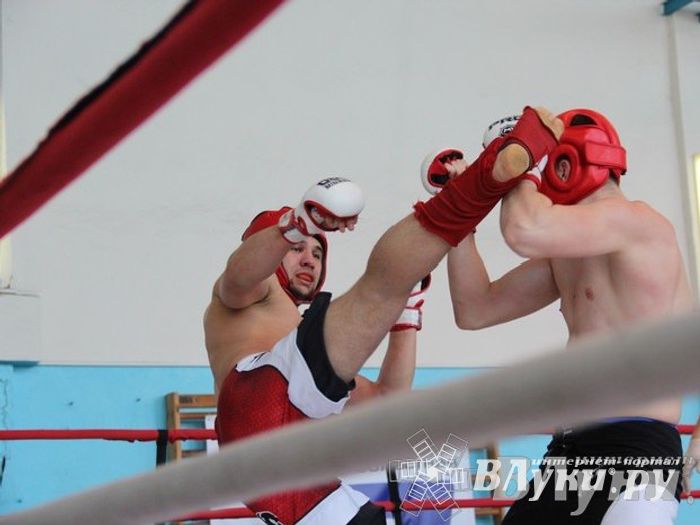 Чемпионат Псковской области по ММА