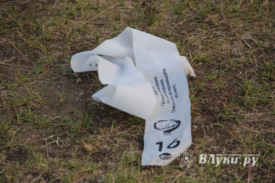 Аэростаты летают над городом (ФОТО)