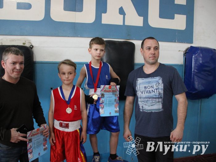 Юные великолучане выявили сильнейших боксёров (ФОТО)