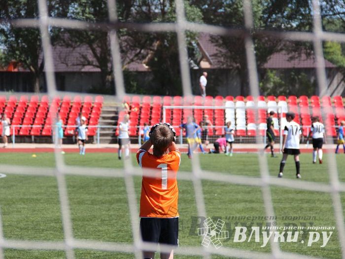 «Локобол-2013»: Великие Луки-Кировск
