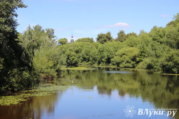 Тело неизвестного мужчины обнаружено в реке Ловать
