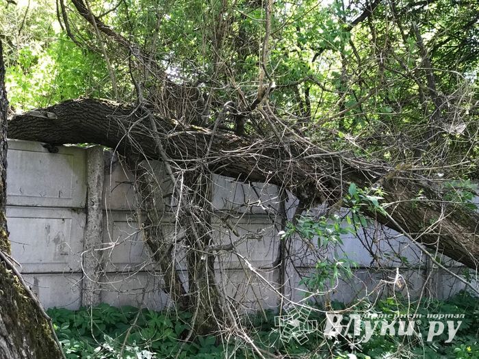 Опасный тротуар на проспекте Гагарина (ФОТО)