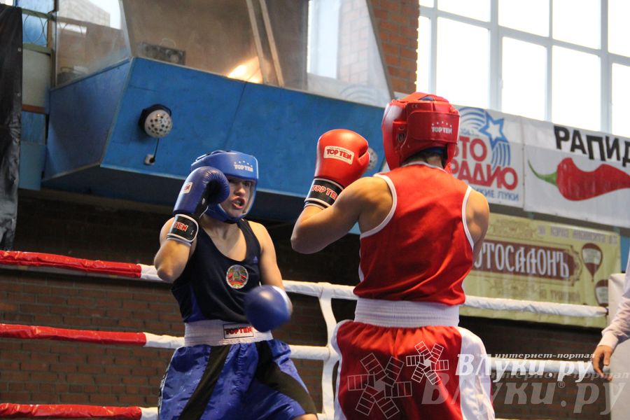 16-й Международный турнир по боксу (фото)