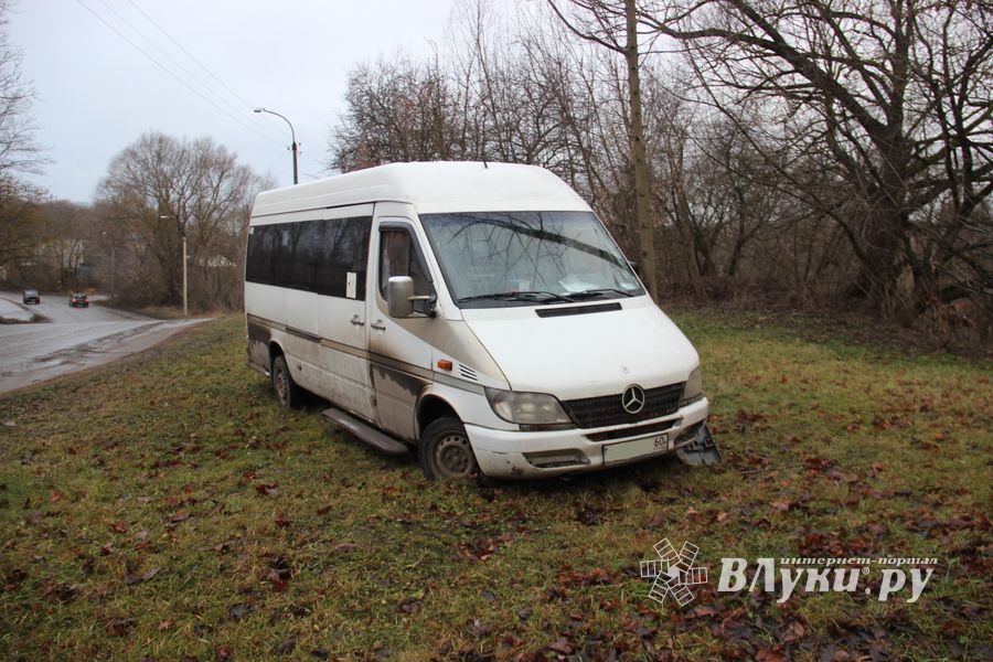 На улице Пушкина водитель врезался в дерево (ФОТО)