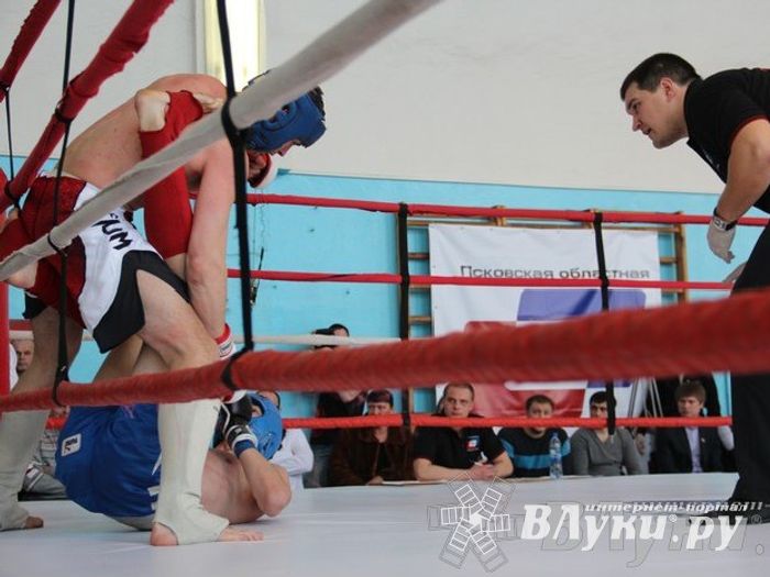 Чемпионат Псковской области по ММА