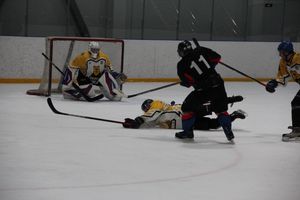 Великолукский «Экспресс» одержал победу в игре с псковскими «Медведями» (ФОТО)