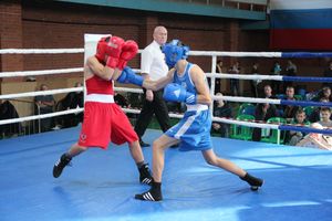 В Великих Луках прошел турнир по боксу памяти Е. Клевцова (ФОТО)