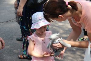В городском парке Великих Лук прошёл День мороженого