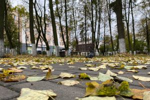 ©ВЛуки.ру