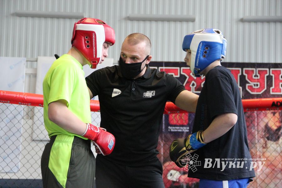В Великих Луках прошел кубок по смешанному боевому единоборству (ФОТО)