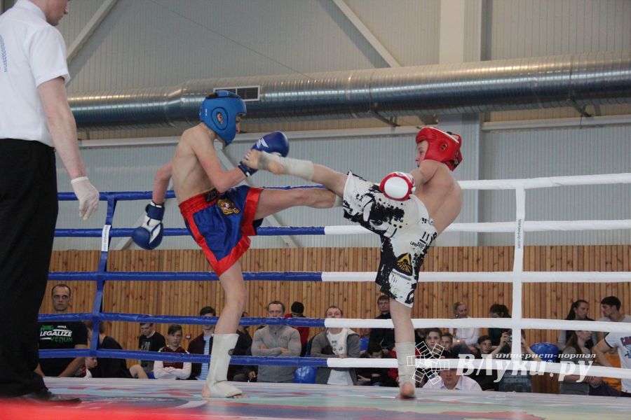 В Великих Луках прошел Кубок области по кикбоксингу (ФОТО)