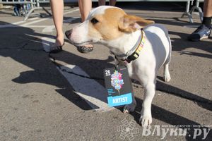 Великолучане съездили на ежегодный open-air Europa Plus LIVE