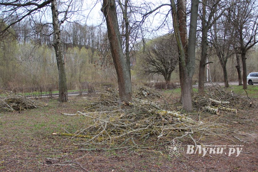 На острове Дятлинка проходит субботник