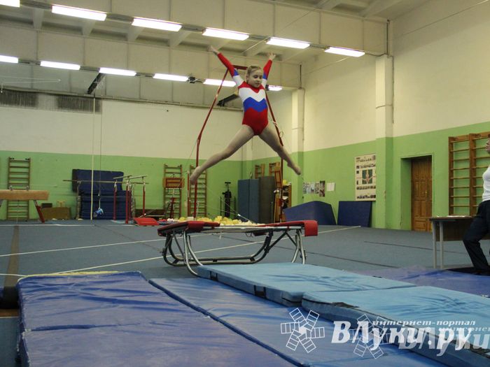 В Великих Луках состоялось Первенство по командной гимнастике (фото)