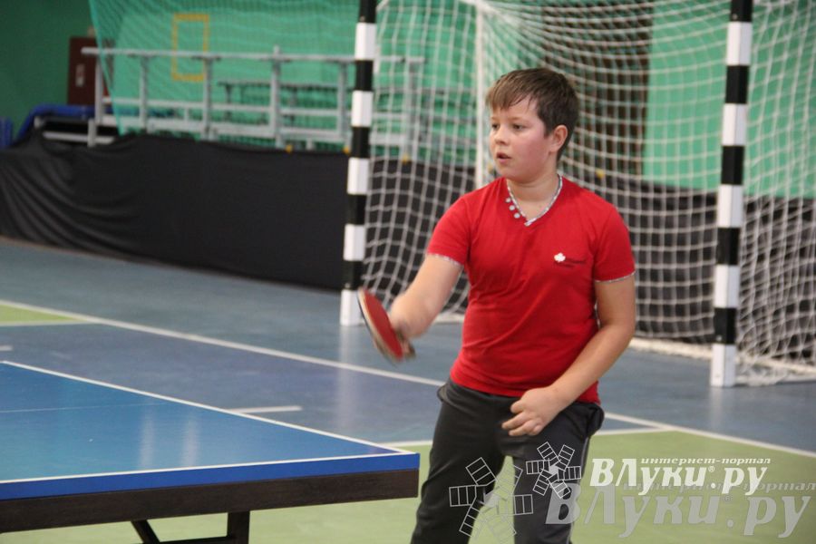 В Великих Луках прошло Первенство города по настольному теннису (фото)