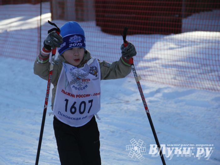 Всероссийская массовая лыжная гонка «Лыжня России 2015» состоялась в Великолукском районе (фото)