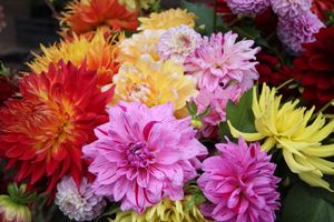 Ярмарка «Осень-2017» (ФОТО)