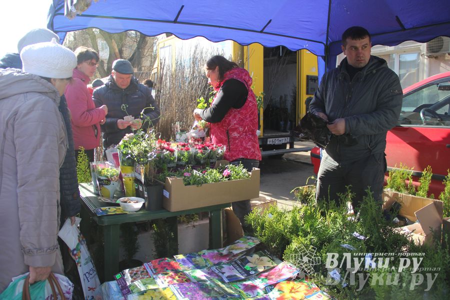 Универсальная торговая ярмарка «Весна-2015» прошла в Великих Луках (фото)