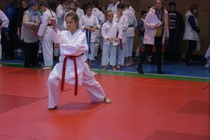 В Великих Луках прошли соревнования по каратэ (ФОТО)