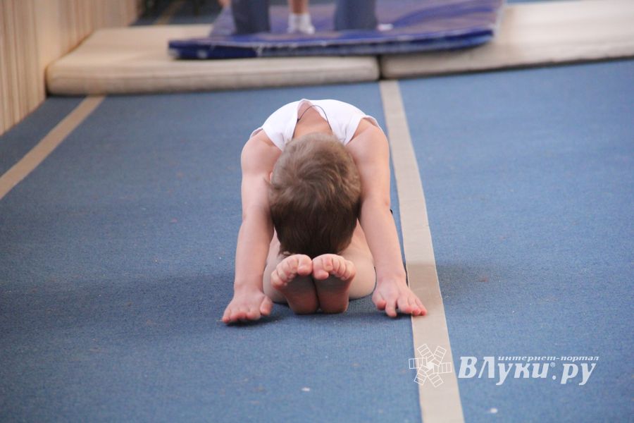 В ДЮСШ «Атлетика» прошли соревнования по спортивной гимнастике (ФОТО)