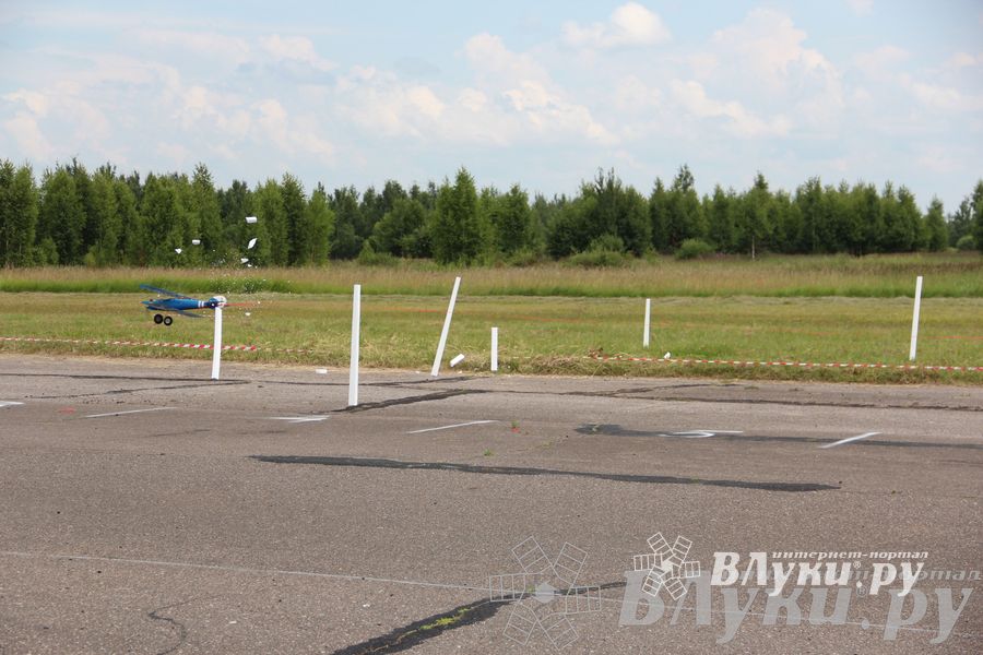 В Великих Луках прошли воздушные бои (фото)