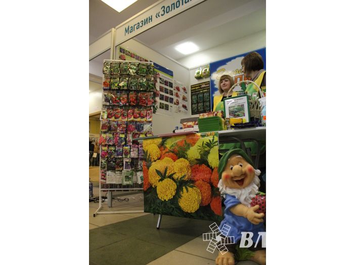 В ДК ЛК открылась 7-я Великолукская универсальная выставка (ФОТО, ВИДЕО)