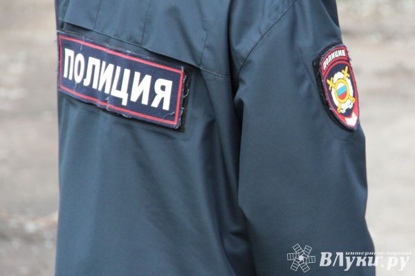 В Псковской области полицейские раскрыли два грабежа