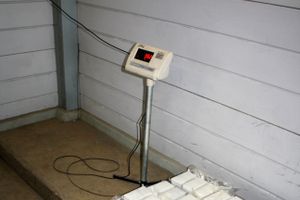 Фото: Себежская таможня