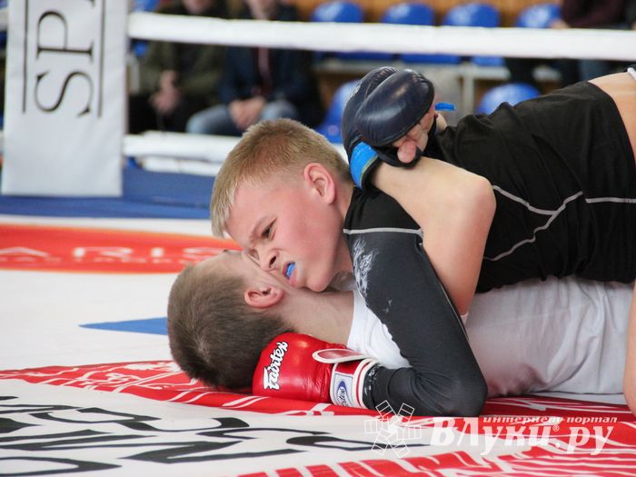 Открытый кубок по смешанному боевому единоборству ММА прошел в Великих Луках (ФОТО)