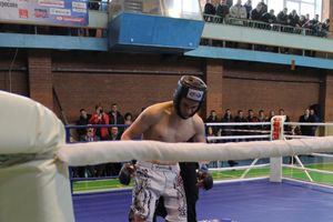 В Великих Луках прошел межрегиональный Открытый Кубок по смешанному боевому единоборству (фото)