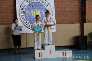 В Великих Луках прошло Первенство по тхэквондо (фото)