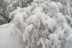 ©ВЛуки.ру
