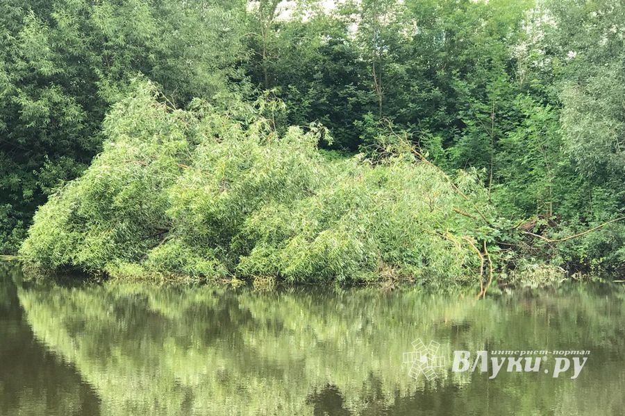 Фотофакт: застряла в плотине