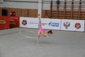 Гимнастика