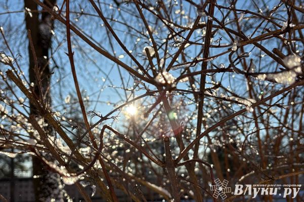 Жителям Псковской области рассказали о погоде в марте