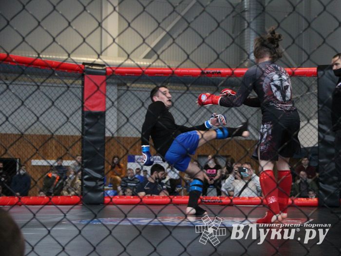 В Великих Луках прошел кубок по смешанному боевому единоборству (ФОТО)