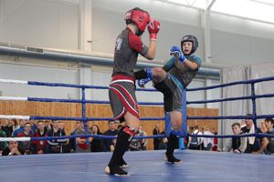 1-й Фестиваль боевых искусств состоялся в Великих Луках  (ФОТО)