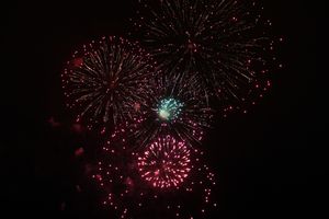 В Великих Луках зажглась новогодная ёлка (ФОТО)