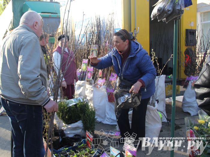 Традиционная весенняя ярмарка прошла в Великих Луках