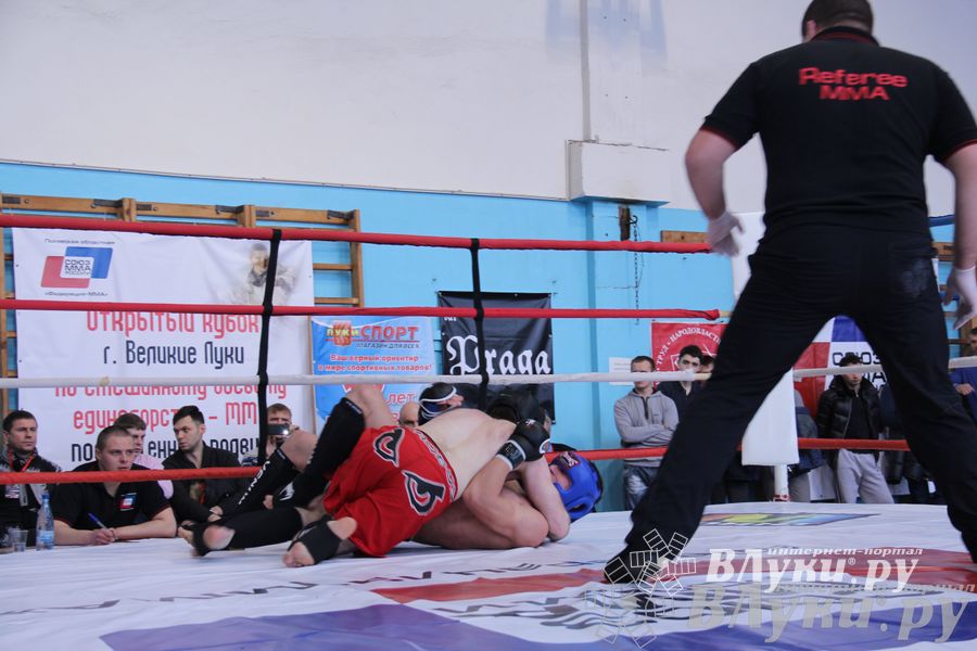 Открытый Кубок города Великие Луки по смешанному боевому единоборству (ММА)